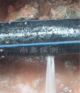 柘城消防管道漏点探测