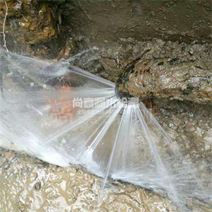 柘城自来水管道漏点检测